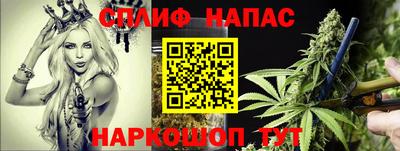 шишки Гагарин