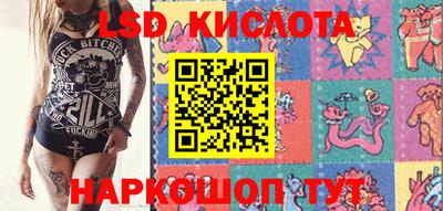 шишки Гатчина