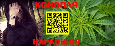 шишки Гатчина