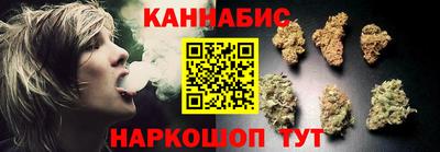 шишки Гагарин
