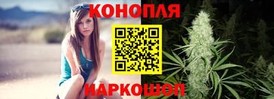 шишки Гатчина