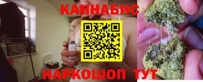 шишки Гагарин