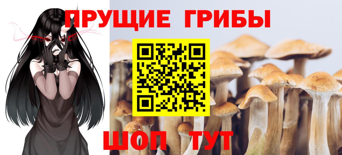 Псилоцибиновые грибы мухоморы  Вход с VPN  Киселёвск 