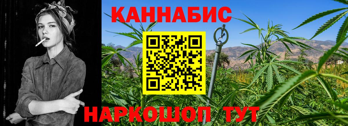 Бошки Шишки конопля Киселёвск